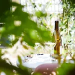 Alma Art Bed & Breakfast Dobrovo