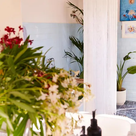 Alma Art Bed & Breakfast