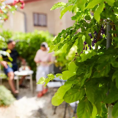 住宿加早餐酒店 Alma Art
