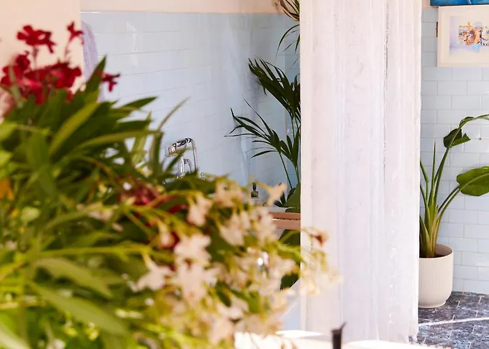 Alma Art Bed and Breakfast